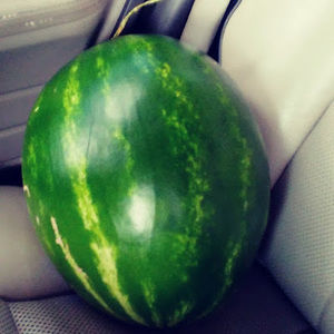 Meet your Posher, Stanka